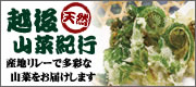 越後山菜紀行