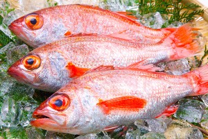 脂の乗り、香り、食感、と三拍子そろった「のどぐろ