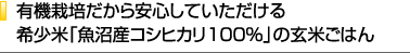 有機栽培だから安⼼していただける希少⽶「⿂沼産コシヒカリ100%」の⽞⽶ごはん