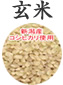 玄米