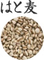 はと麦