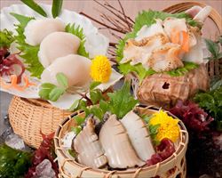 北海貝三昧　季節の貝3種｜日本海庄やグランドメニュー