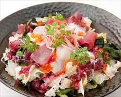 日本海名物　海鮮サラダ｜日本海庄やグランドメニュー