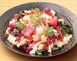 日本海名物　海鮮サラダ｜日本海庄やグランドメニュー