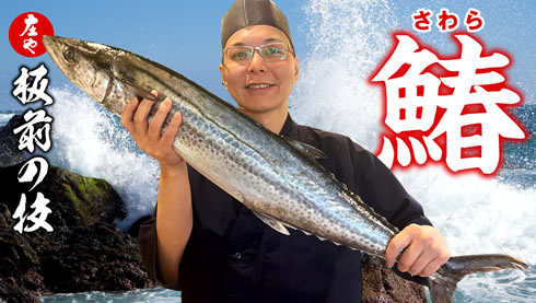 【大名も大絶賛した出世魚 鰆】板前が仕立てる極上の「焼き霜」と「西京焼き」