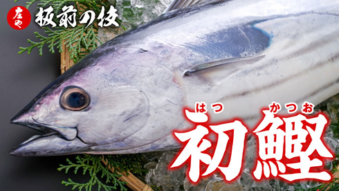 板前の技「初鰹」