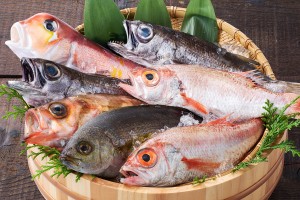 鮮魚を丸々1本選んで注文できる「1本魚」は毎日5種類以上を用意