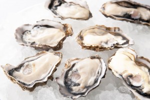 ちゅるんと冷たくおいしい生牡蠣！