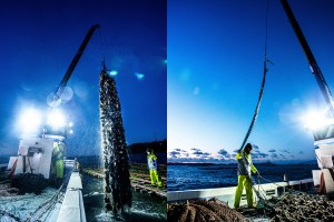 冷たい潮風と共に届く、室津の真牡蠣