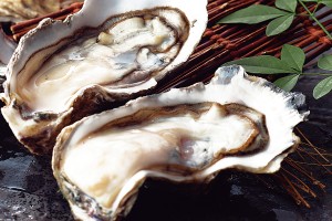 11月末まで心ゆくまで、おいしい生牡蠣を楽しんで