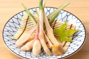 谷中生姜(480円)