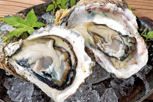 岩牡蠣（１個1,480円）