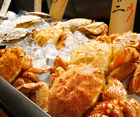 市場から直送の新鮮な魚介類が味わえる、豪快！元気！鮮度一番！の漁師料理がコンセプト。