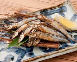 鯵のなめろう｜焼酎屋　童（わらべ）グランドメニュー