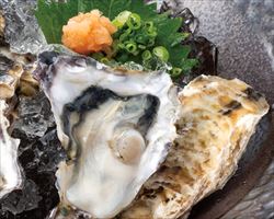 生牡蠣(1個)｜東京酒BAL　塩梅グランドメニュー
