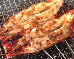 大海老開き焼き(1尾)｜大庄水産グランドメニュー