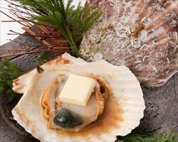 帆立焼き｜日本海庄やグランドメニュー