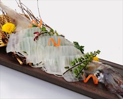 活いか姿造り｜日本海庄やグランドメニュー