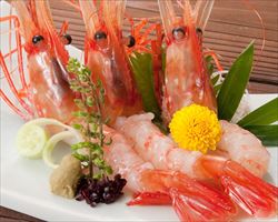 ボタン海老｜日本海庄やグランドメニュー