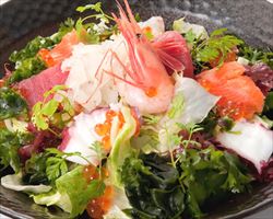 海の幸　和風サラダ｜日本海庄やグランドメニュー