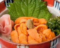 うに丼｜日本海庄やグランドメニュー