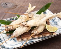 稚鮎天布羅｜庄や大型店グランドメニュー