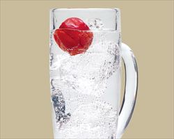 赤梅サワー｜庄や大型店グランドメニュー