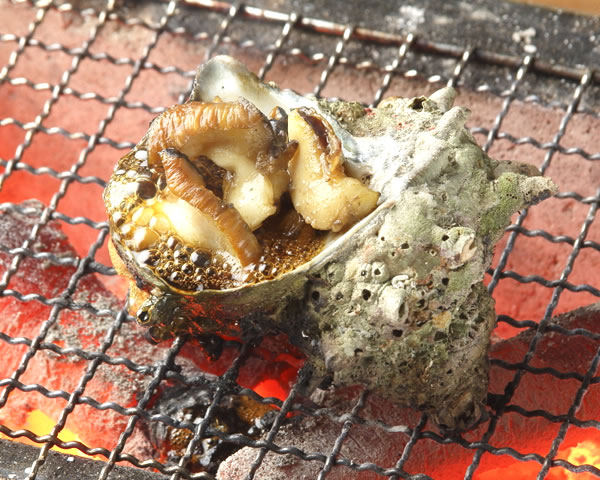 【旬の貝焼き4月~9月】活さざえ　つぼ焼き