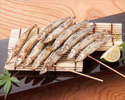 【高知産】キビナゴ一夜干し｜日本海庄やグランドメニュー