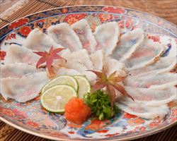 【下関名物】河豚たたき｜日本海庄やグランドメニュー