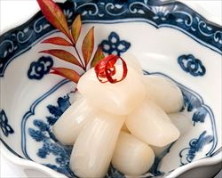 【鳥取名物】砂丘らっきょ｜日本海庄やグランドメニュー