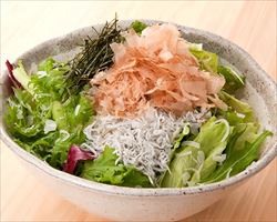 和風さっぱりサラダ｜日本海庄やグランドメニュー