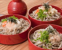 【出雲名物】出雲そば｜日本海庄やグランドメニュー