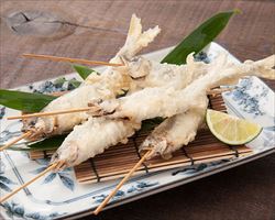 稚鮎天布羅｜日本海庄やグランドメニュー