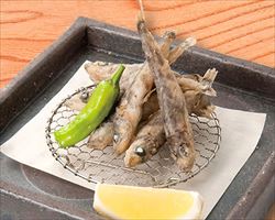 目光唐揚げ｜日本海庄やグランドメニュー