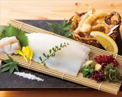 長崎県産 やりいか姿刺身｜日本海庄やグランドメニュー