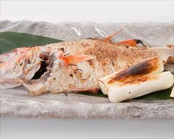【日本海産】のどぐろ塩焼き(半身)｜日本海庄や(新潟地区)グランドメニュー