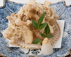 【新潟】舞茸天ぷら｜日本海庄や(新潟地区)グランドメニュー