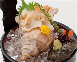 つぶ貝刺身｜日本海庄や(新潟地区)グランドメニュー