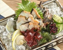 【日本海】さざえ刺身｜日本海庄や(新潟地区)グランドメニュー