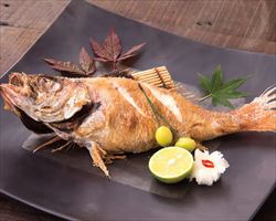 喉黒塩焼き｜日本海庄やグランドメニュー