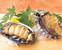 刺身＜10種盛＞1人前｜築地日本海グランドメニュー