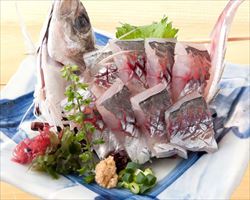 生本鮪 赤身｜築地日本海グランドメニュー