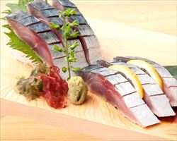 生本鮪 中とろ｜築地日本海グランドメニュー