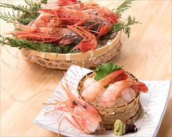 生本鮪 大とろ｜築地日本海グランドメニュー
