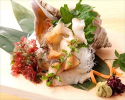 葱まみれ本鮪とろたく｜築地日本海グランドメニュー