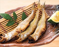 蛸やわらか煮｜築地日本海グランドメニュー